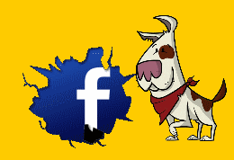 facebook